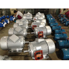 Electric Motor (Y2-132m-4) for Sale